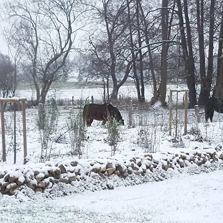 Kleine Brise Hébergement de vacances