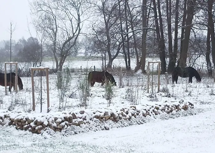 Kleine Brise Tatil Evi